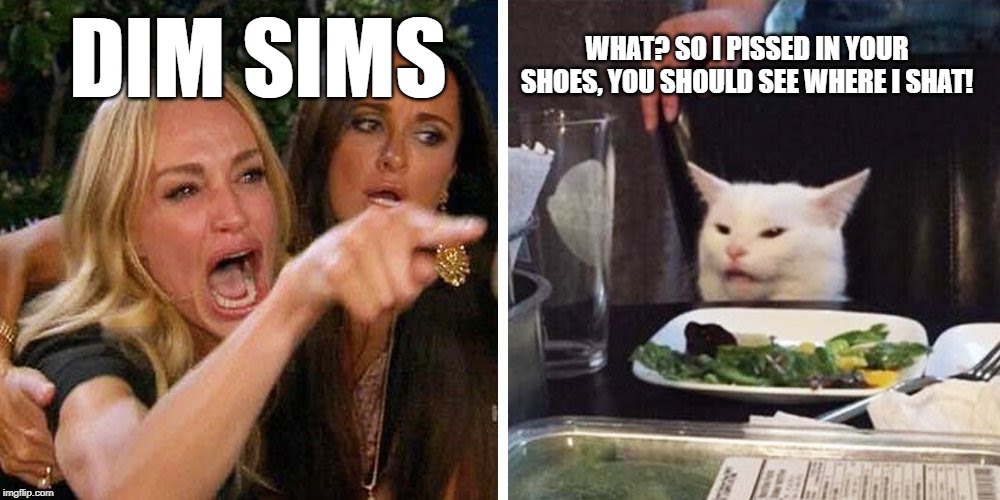 Smudge the cat | DIM SIMS; WHAT? SO I PISSED IN YOUR SHOES, YOU SHOULD SEE WHERE I SHAT! | image tagged in smudge the cat | made w/ Imgflip meme maker