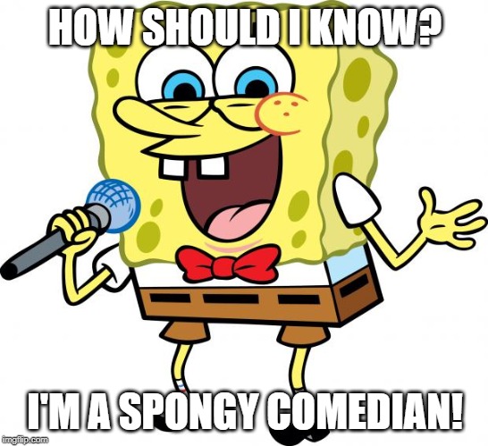 spongebob the comedian | HOW SHOULD I KNOW? I'M A SPONGY COMEDIAN! | image tagged in spongebob the comedian | made w/ Imgflip meme maker