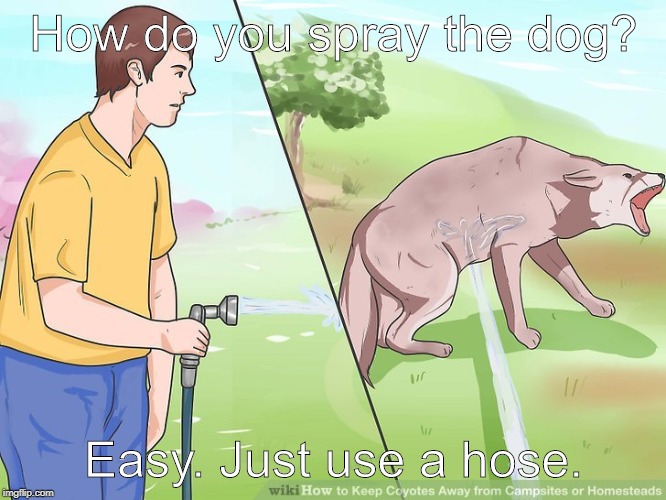 WikiHow Spraying the Dog | How do you spray the dog? Easy. Just use a hose. | image tagged in wikihow spraying the dog | made w/ Imgflip meme maker