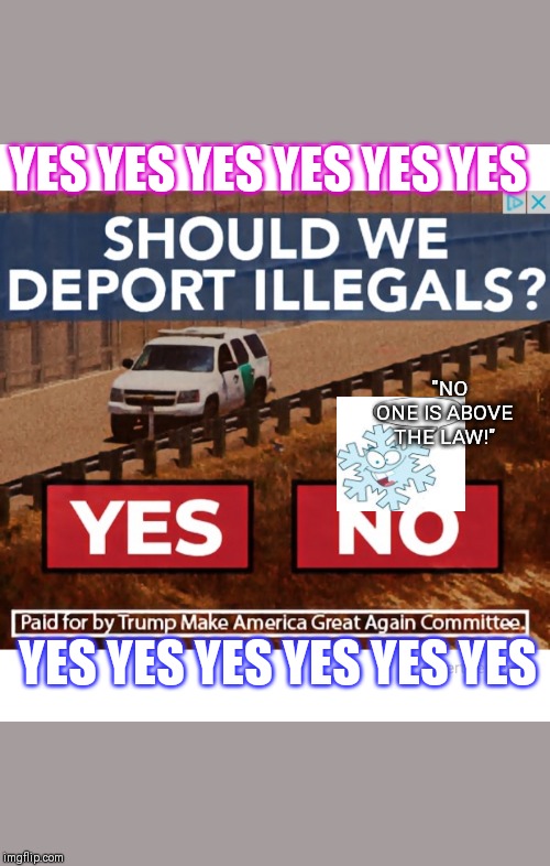 Here's a "No-Brainer" | YES YES YES YES YES YES; "NO ONE IS ABOVE THE LAW!"; YES YES YES YES YES YES | image tagged in deport illegals | made w/ Imgflip meme maker