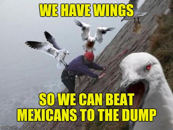 Angry Birds | WE HAVE WINGS; SO WE CAN BEAT MEXICANS TO THE DUMP | image tagged in angry birds | made w/ Imgflip meme maker