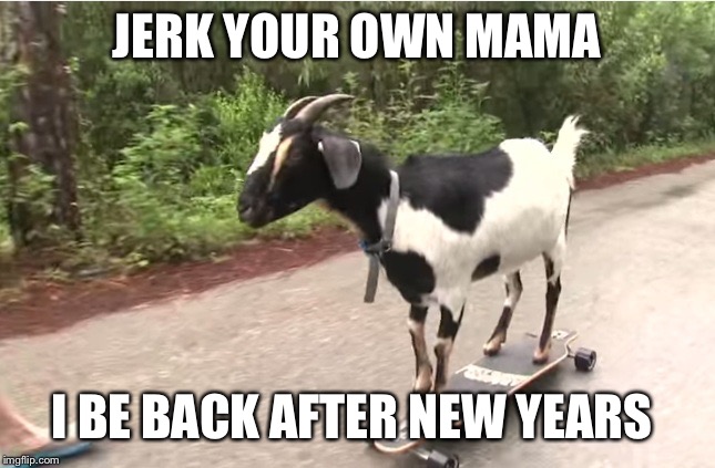 goat on skate | JERK YOUR OWN MAMA I BE BACK AFTER NEW YEARS | image tagged in goat on skate | made w/ Imgflip meme maker