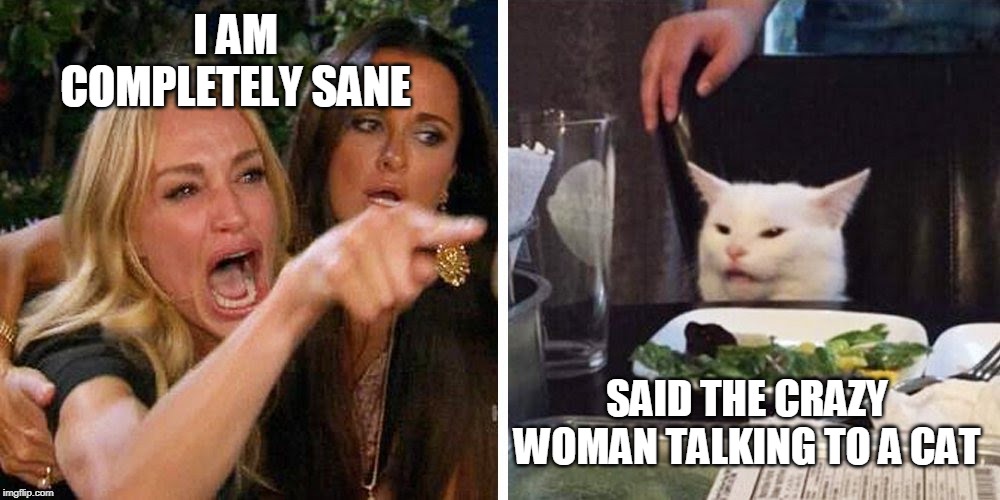 Smudge the cat | I AM COMPLETELY SANE; SAID THE CRAZY WOMAN TALKING TO A CAT | image tagged in smudge the cat | made w/ Imgflip meme maker