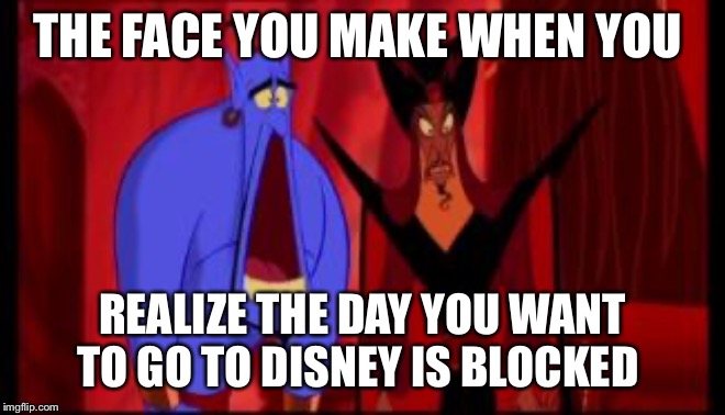 Disney | THE FACE YOU MAKE WHEN YOU; REALIZE THE DAY YOU WANT TO GO TO DISNEY IS BLOCKED | image tagged in disney | made w/ Imgflip meme maker