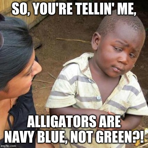 Third World Skeptical Kid | SO, YOU'RE TELLIN' ME, ALLIGATORS ARE NAVY BLUE, NOT GREEN?! | image tagged in memes,third world skeptical kid | made w/ Imgflip meme maker