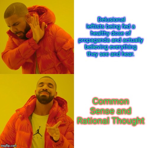 Drake Hotline Bling | Delusional leftists being fed a healthy dose of propaganda and actually believing everything they see and hear. Common Sense and Rational Thought | image tagged in memes,drake hotline bling | made w/ Imgflip meme maker