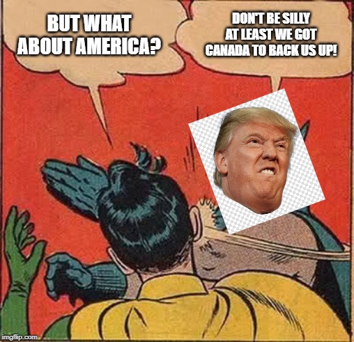 CaNaDiAnS bE lIkE | BUT WHAT ABOUT AMERICA? DON'T BE SILLY AT LEAST WE GOT CANADA TO BACK US UP! | image tagged in memes,batman slapping robin | made w/ Imgflip meme maker
