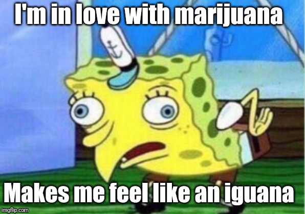 Mocking Spongebob Meme | I'm in love with marijuana; Makes me feel like an iguana | image tagged in memes,mocking spongebob,marijuana,iguana | made w/ Imgflip meme maker
