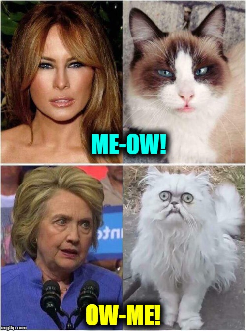 Two First Ladies illustrated in Felinese (Cats) | ME-OW! OW-ME! | image tagged in vince vance,hillary clinton,cats,melania trump,siamese cat,crazy cat | made w/ Imgflip meme maker