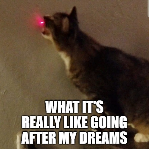 WHAT IT'S REALLY LIKE GOING AFTER MY DREAMS | image tagged in dreams,demotivationals,disappointment,motivation,demotivational | made w/ Imgflip meme maker