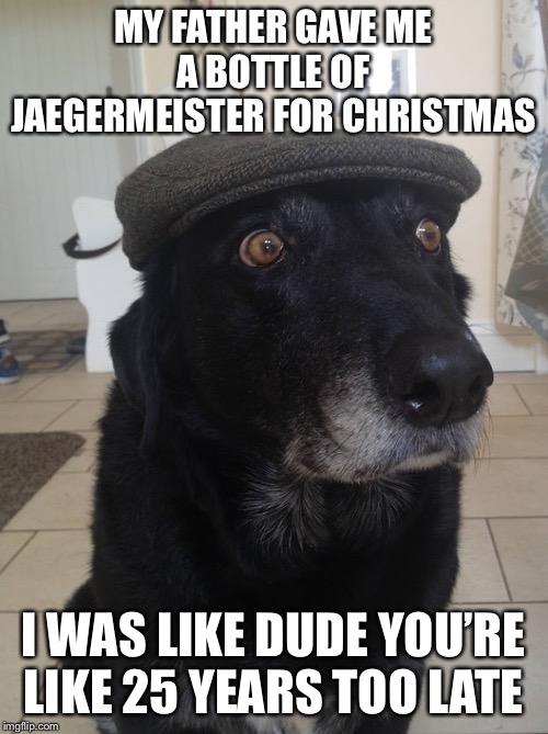 Back In My Day Dog | MY FATHER GAVE ME A BOTTLE OF JAEGERMEISTER FOR CHRISTMAS; I WAS LIKE DUDE YOU’RE LIKE 25 YEARS TOO LATE | image tagged in back in my day dog,memes,alcohol,alcoholic | made w/ Imgflip meme maker