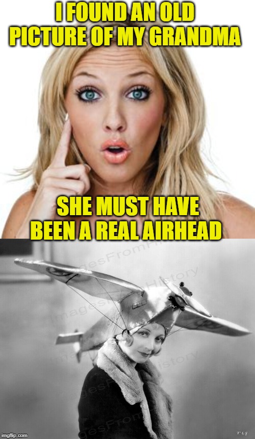 Family Tree | I FOUND AN OLD PICTURE OF MY GRANDMA; SHE MUST HAVE BEEN A REAL AIRHEAD | image tagged in dumb blonde,memes,old woman,airplane | made w/ Imgflip meme maker
