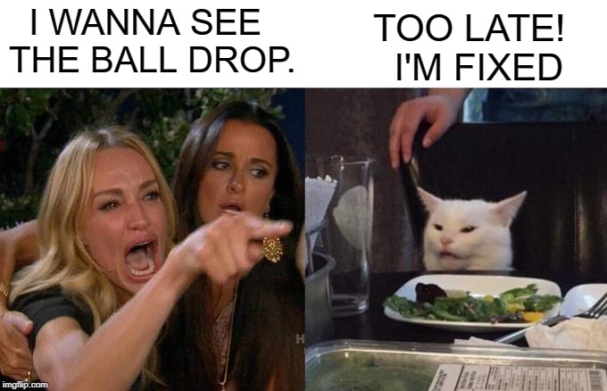 Woman Yelling At Cat Meme | I WANNA SEE THE BALL DROP. TOO LATE! 
  I'M FIXED | image tagged in memes,woman yelling at cat | made w/ Imgflip meme maker