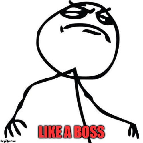 like a boss | LIKE A BOSS | image tagged in like a boss | made w/ Imgflip meme maker