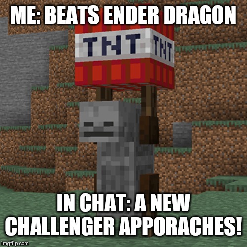 Tnt yeeter | ME: BEATS ENDER DRAGON; IN CHAT: A NEW CHALLENGER APPORACHES! | image tagged in tnt yeeter | made w/ Imgflip meme maker