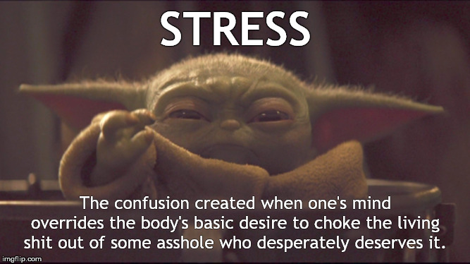 True, it is. | STRESS; The confusion created when one's mind overrides the body's basic desire to choke the living shit out of some asshole who desperately deserves it. | image tagged in baby yoda choke | made w/ Imgflip meme maker