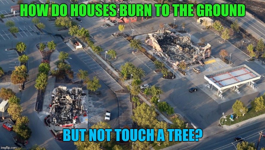 A picture does speak a thousand words....Are the trees trying to tell you something? | HOW DO HOUSES BURN TO THE GROUND; BUT NOT TOUCH A TREE? | image tagged in direct energy weapon dew,dew's,deepstate,corruption | made w/ Imgflip meme maker