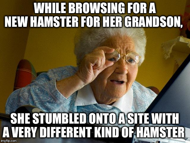 Grandma Finds The Internet Meme | WHILE BROWSING FOR A NEW HAMSTER FOR HER GRANDSON, SHE STUMBLED ONTO A SITE WITH A VERY DIFFERENT KIND OF HAMSTER | image tagged in memes,grandma finds the internet | made w/ Imgflip meme maker