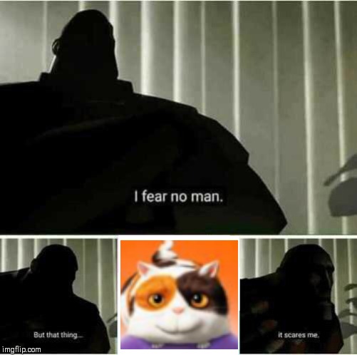 I fear no man | image tagged in i fear no man | made w/ Imgflip meme maker