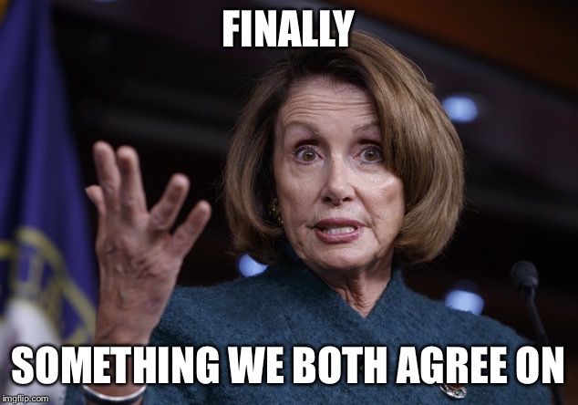 Good old Nancy Pelosi | FINALLY SOMETHING WE BOTH AGREE ON | image tagged in good old nancy pelosi | made w/ Imgflip meme maker