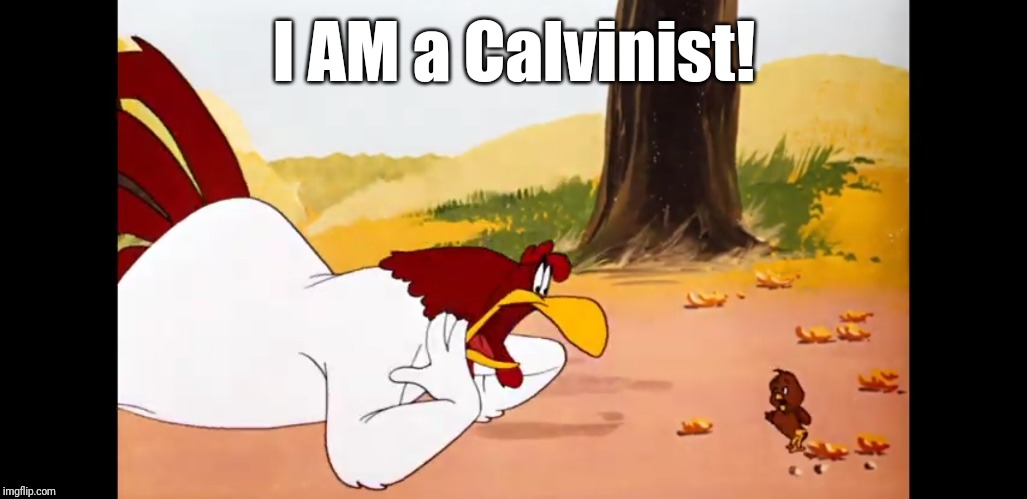  I AM a Calvinist! | image tagged in foghorn leghorn,foghorn,looney tunes,christian,christianity,calvinism | made w/ Imgflip meme maker