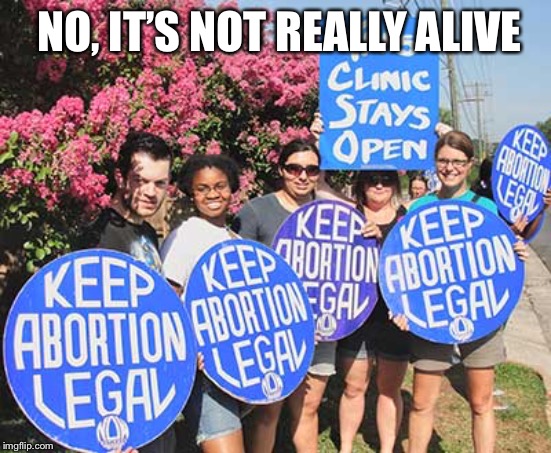 Keep Abortion Legal | NO, IT’S NOT REALLY ALIVE | image tagged in keep abortion legal | made w/ Imgflip meme maker