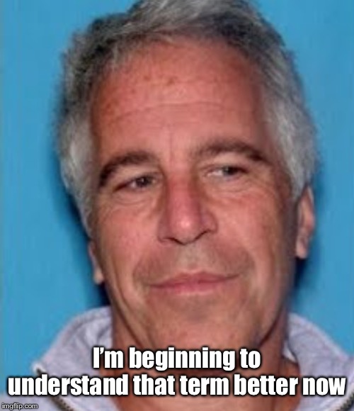 Epstein mugshot | I’m beginning to understand that term better now | image tagged in epstein mugshot | made w/ Imgflip meme maker