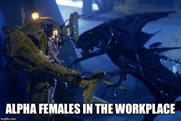 Alpha females | ALPHA FEMALES IN THE WORKPLACE | image tagged in female,fighting | made w/ Imgflip meme maker