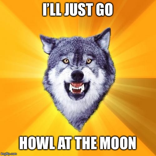 Courage Wolf Meme | I’LL JUST GO HOWL AT THE MOON | image tagged in memes,courage wolf | made w/ Imgflip meme maker