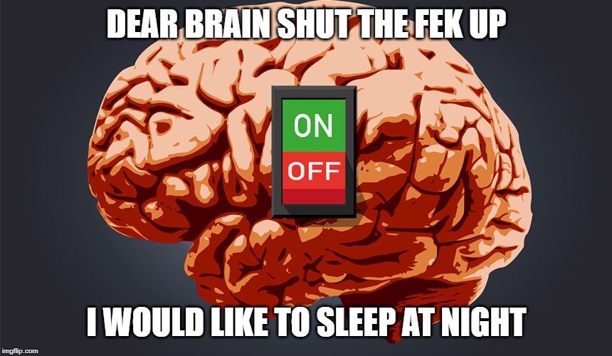 insomnia | DEAR BRAIN SHUT THE FEK UP; I WOULD LIKE TO SLEEP AT NIGHT | image tagged in insomnia,switch,sleep | made w/ Imgflip meme maker