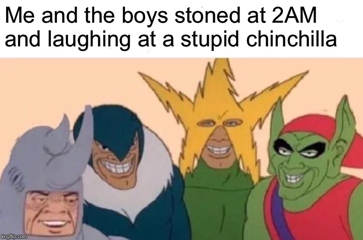 Me And The Boys | Me and the boys stoned at 2AM and laughing at a stupid chinchilla | image tagged in memes,me and the boys | made w/ Imgflip meme maker