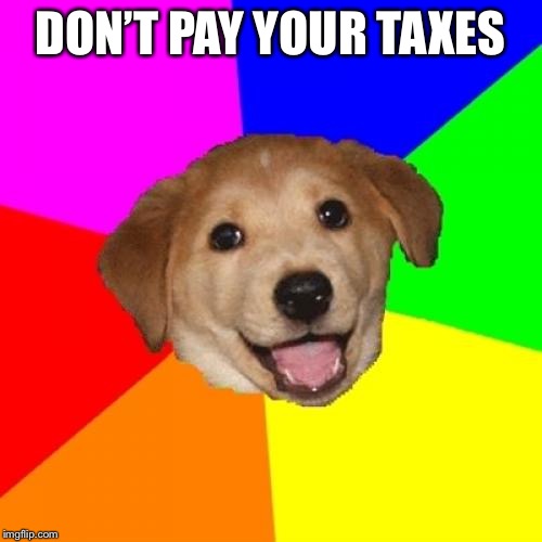 Advice Dog Meme | DON’T PAY YOUR TAXES | image tagged in memes,advice dog | made w/ Imgflip meme maker