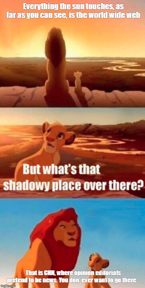 This is CNN | Everything the sun touches, as far as you can see, is the world wide web; That is CNN, where opinion editorials pretend to be news. You don' ever want to go there. | image tagged in memes,simba shadowy place,cnn fake news | made w/ Imgflip meme maker