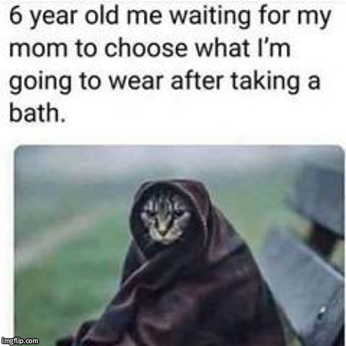 Reality | image tagged in cats | made w/ Imgflip meme maker