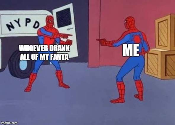Spiderman mirror | WHOEVER DRANK ALL OF MY FANTA; ME | image tagged in spiderman mirror | made w/ Imgflip meme maker