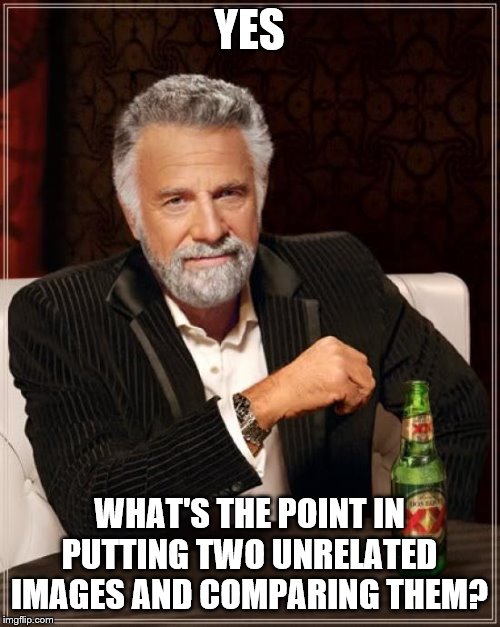 The Most Interesting Man In The World Meme | YES WHAT'S THE POINT IN PUTTING TWO UNRELATED IMAGES AND COMPARING THEM? | image tagged in memes,the most interesting man in the world | made w/ Imgflip meme maker