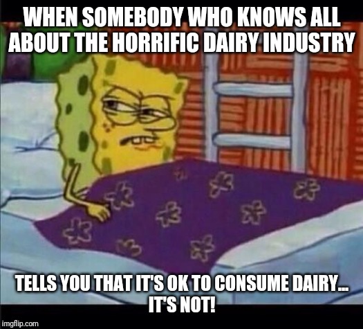 SpongeBob waking up  | WHEN SOMEBODY WHO KNOWS ALL ABOUT THE HORRIFIC DAIRY INDUSTRY; TELLS YOU THAT IT'S OK TO CONSUME DAIRY...
IT'S NOT! | image tagged in spongebob waking up | made w/ Imgflip meme maker