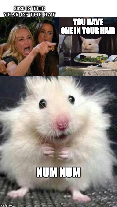 2020 IS THE YEAR OF THE RAT; YOU HAVE ONE IN YOUR HAIR; NUM NUM | image tagged in stressed mouse,memes,woman yelling at cat | made w/ Imgflip meme maker