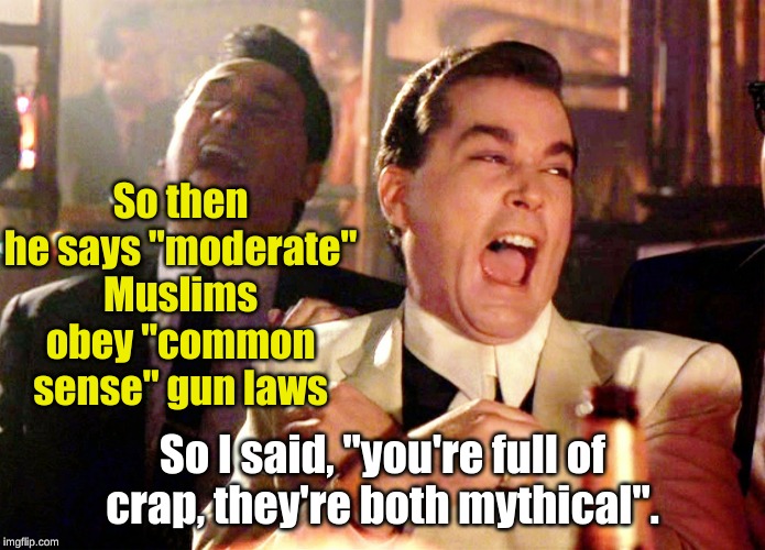 Good Fellas Hilarious |  So then he says "moderate" Muslims obey "common sense" gun laws; So I said, "you're full of crap, they're both mythical". | image tagged in memes,good fellas hilarious,moderate muslims,2nd amendment | made w/ Imgflip meme maker