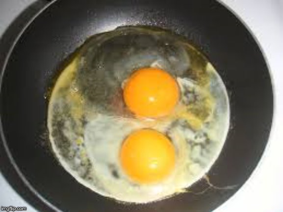 fried eggs | . | image tagged in fried eggs | made w/ Imgflip meme maker