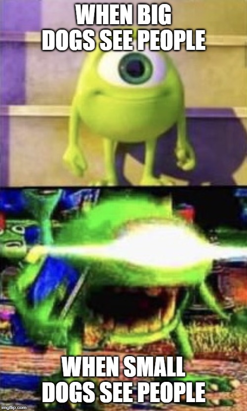 Mike wazowski | WHEN BIG DOGS SEE PEOPLE; WHEN SMALL DOGS SEE PEOPLE | image tagged in mike wazowski | made w/ Imgflip meme maker