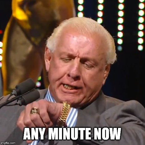 RIC FLAIR LOOKS AT WATCH | ANY MINUTE NOW | image tagged in ric flair looks at watch | made w/ Imgflip meme maker
