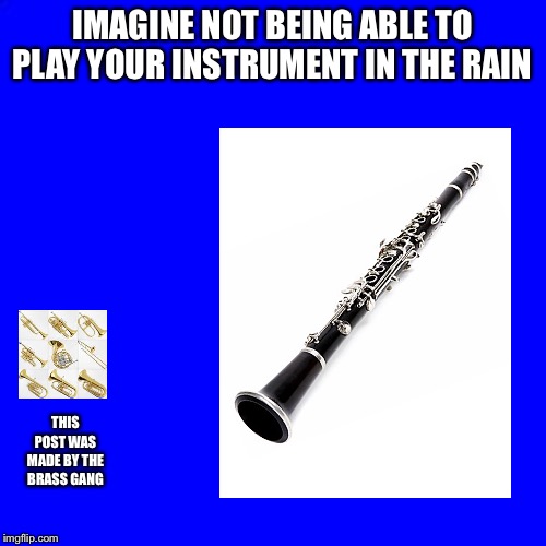IMAGINE NOT BEING ABLE TO PLAY YOUR INSTRUMENT IN THE RAIN; THIS POST WAS MADE BY THE BRASS GANG | image tagged in blue | made w/ Imgflip meme maker