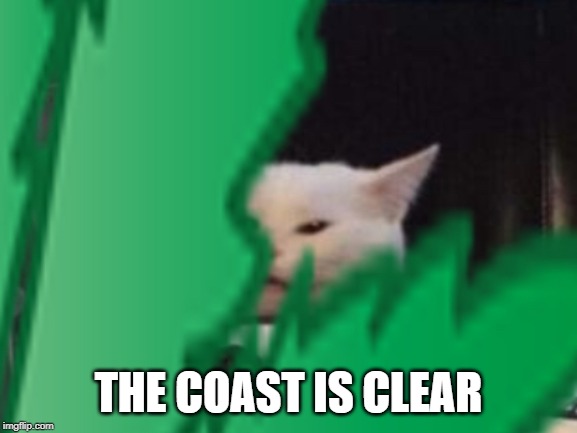 Confused Cat Hides In The Bushes | THE COAST IS CLEAR | image tagged in confused cat hides in the bushes | made w/ Imgflip meme maker