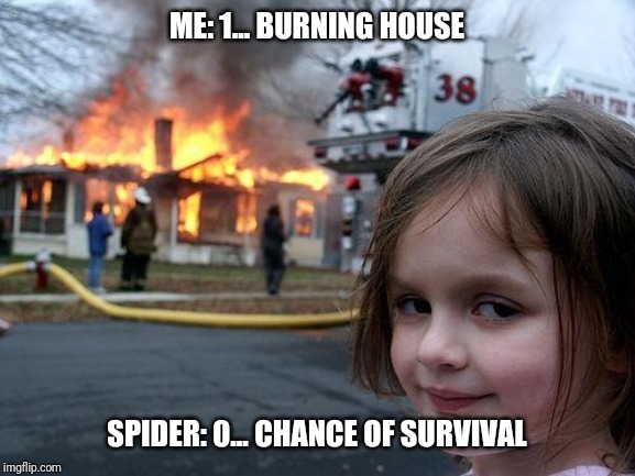 Disaster Girl Meme | ME: 1... BURNING HOUSE; SPIDER: 0... CHANCE OF SURVIVAL | image tagged in memes,disaster girl,spider,lost,house | made w/ Imgflip meme maker