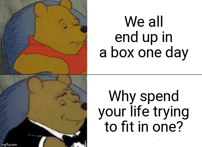 Tuxedo Winnie The Pooh Meme |  We all end up in a box one day; Why spend your life trying to fit in one? | image tagged in memes,tuxedo winnie the pooh | made w/ Imgflip meme maker