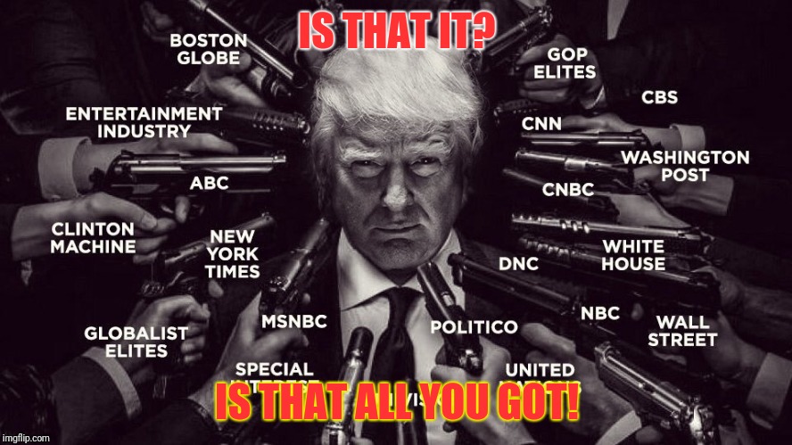 I will gladly take all those slings and arrows for you. | IS THAT IT? IS THAT ALL YOU GOT! | image tagged in trump vs the deepstate swamp,gitmo,qanon | made w/ Imgflip meme maker