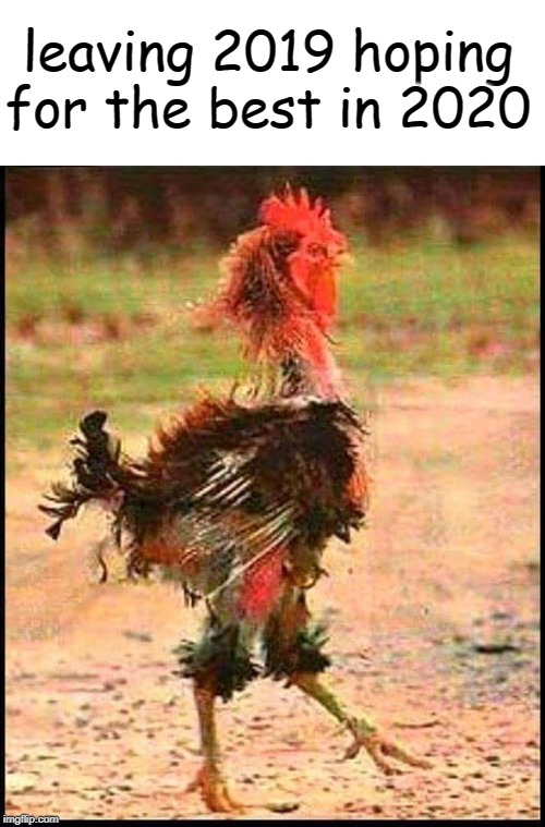 rough rooster | leaving 2019 hoping for the best in 2020 | image tagged in fun | made w/ Imgflip meme maker