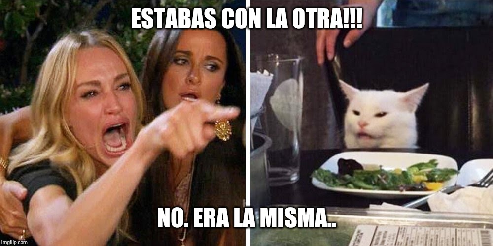 Smudge the cat | ESTABAS CON LA OTRA!!! NO. ERA LA MISMA.. | image tagged in smudge the cat | made w/ Imgflip meme maker
