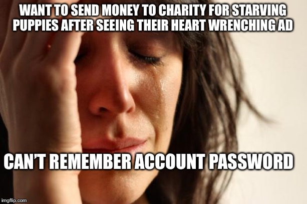 First World Problems | WANT TO SEND MONEY TO CHARITY FOR STARVING PUPPIES AFTER SEEING THEIR HEART WRENCHING AD; CAN’T REMEMBER ACCOUNT PASSWORD | image tagged in memes,first world problems | made w/ Imgflip meme maker